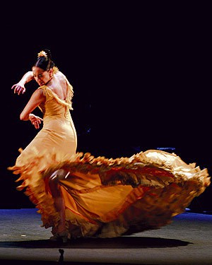 Photo:  Flamenco 7